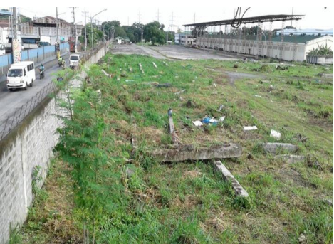 Developable Lot for Lease in Calamba, Laguna